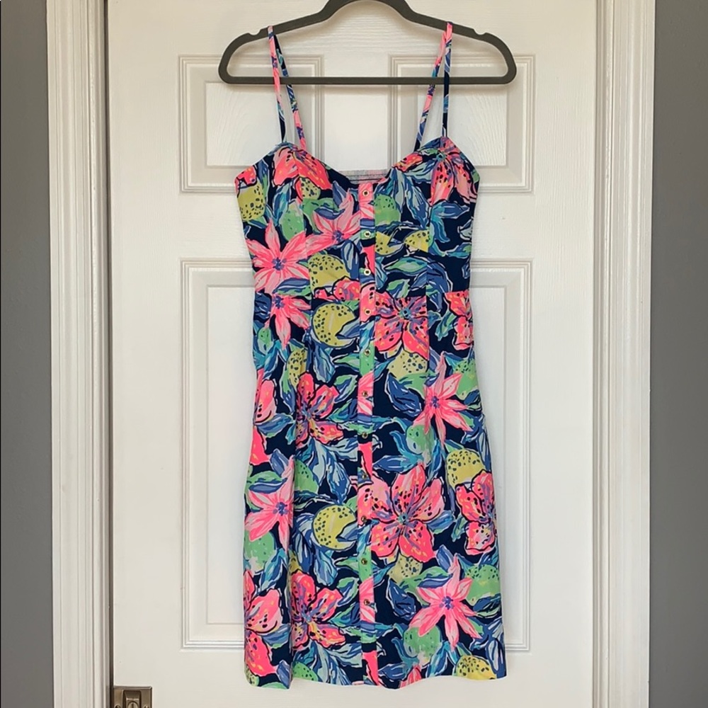 Lilly Pulitzer Easton Dress